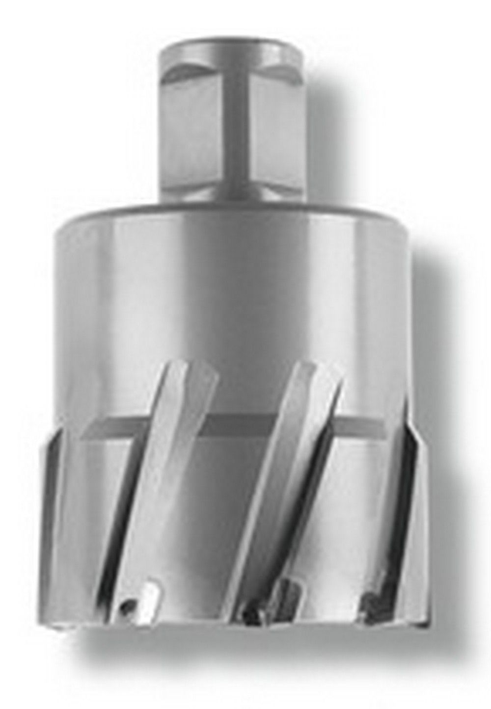 Picture of Fein Power Tools Inc Dia63135508021 2In X 1In Doc Carb Tipped Slugger